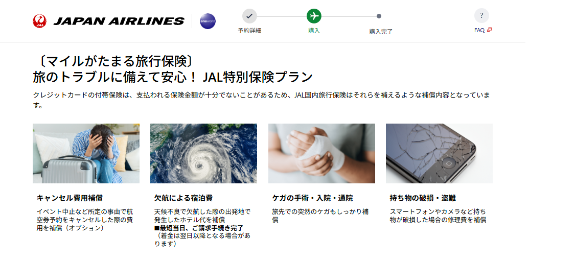 JAL国内旅行保険